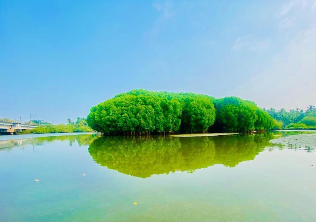 Green Island Homestay Riverside Kozhikode Zewnętrze zdjęcie