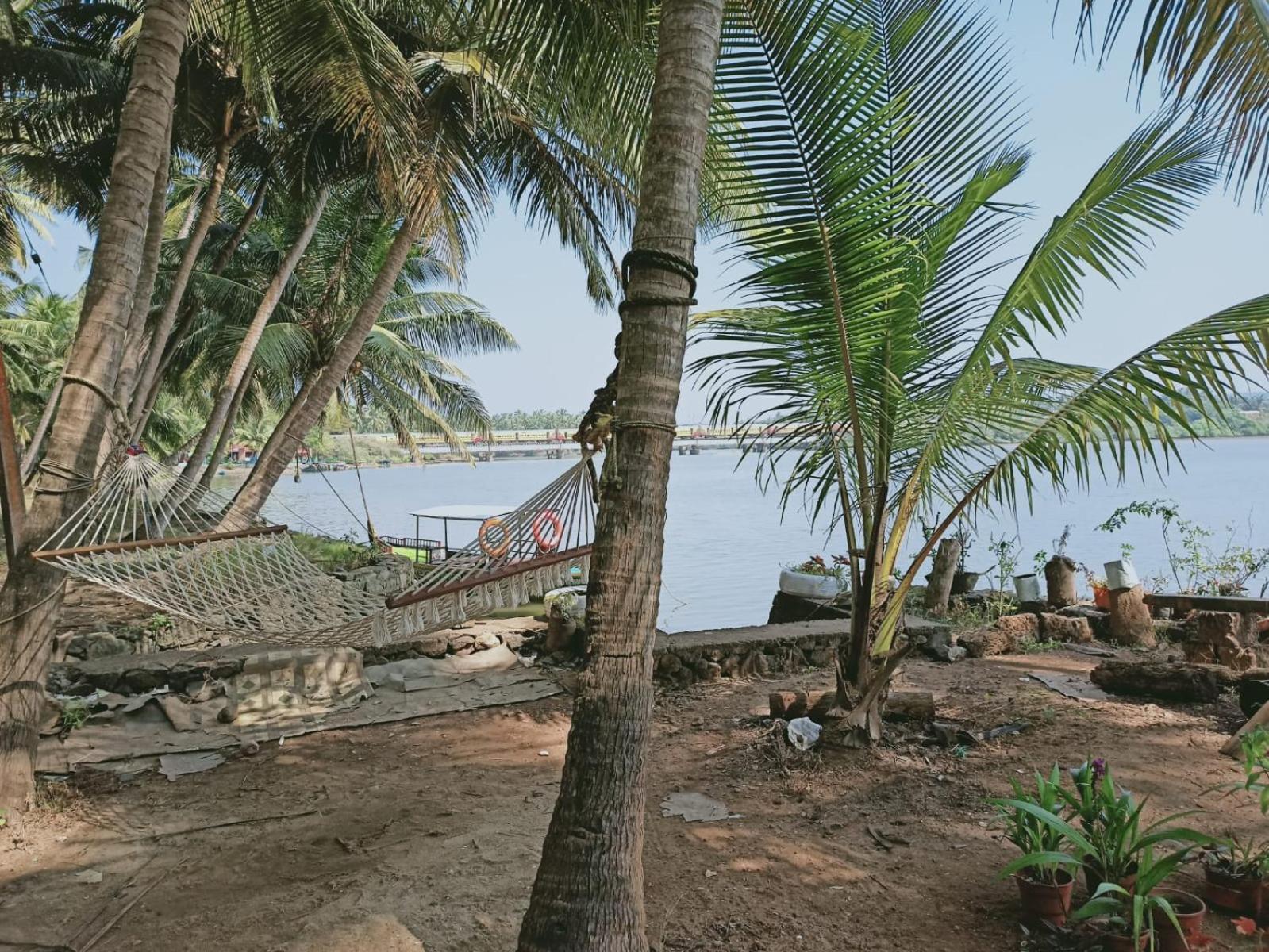 Green Island Homestay Riverside Kozhikode Zewnętrze zdjęcie